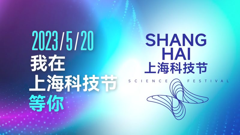 企业搜索安全配置：揭秘十大品牌背后的技术秘密